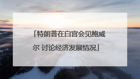 特朗普在白宫会见鲍威尔 讨论经济发展情况