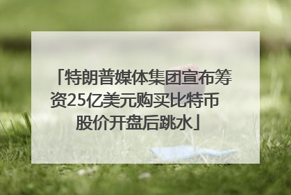 特朗普媒体集团宣布筹资25亿美元购买比特币 股价开盘后跳水