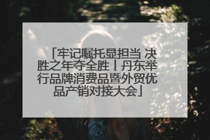 牢记嘱托显担当 决胜之年夺全胜丨丹东举行品牌消费品暨外贸优品产销对接大会