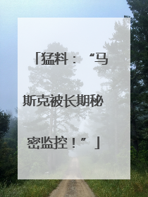 猛料：“马斯克被长期秘密监控！”