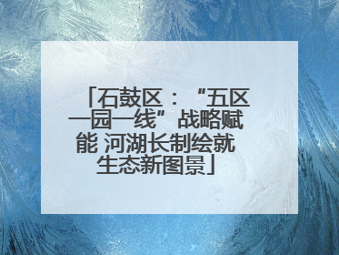 石鼓区：“五区一园一线”战略赋能 河湖长制绘就生态新图景