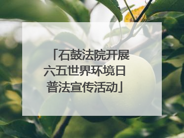 石鼓法院开展六五世界环境日普法宣传活动