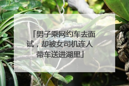 男子乘网约车去面试，却被女司机连人带车送进湖里