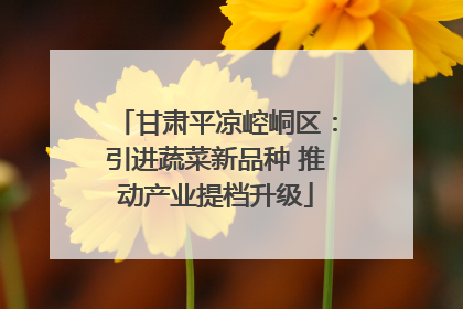 甘肃平凉崆峒区：引进蔬菜新品种 推动产业提档升级