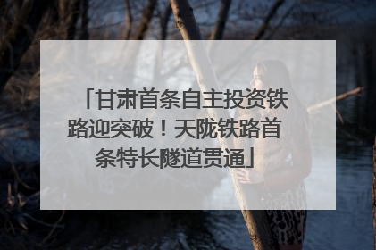甘肃首条自主投资铁路迎突破！天陇铁路首条特长隧道贯通