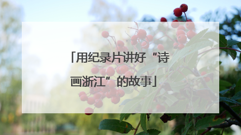 用纪录片讲好“诗画浙江”的故事
