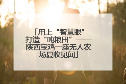 用上“智慧眼” 打造“吨粮田”——陕西宝鸡一座无人农场夏收见闻
