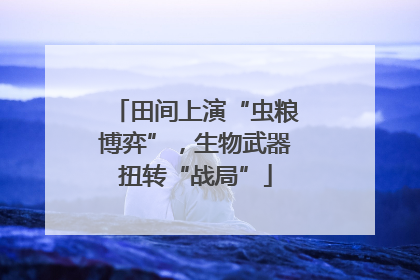 田间上演“虫粮博弈”，生物武器扭转“战局”