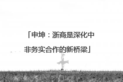 申坤：浙商是深化中非务实合作的新桥梁