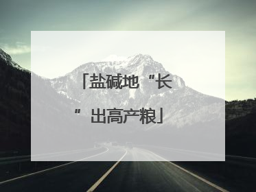 盐碱地“长”出高产粮