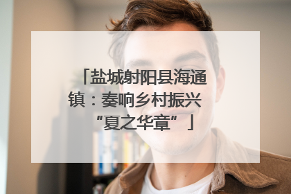 盐城射阳县海通镇：奏响乡村振兴“夏之华章”