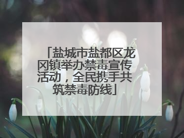 盐城市盐都区龙冈镇举办禁毒宣传活动，全民携手共筑禁毒防线