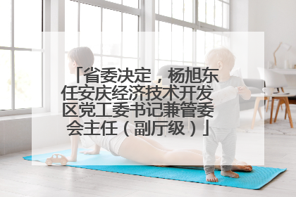 省委决定，杨旭东任安庆经济技术开发区党工委书记兼管委会主任（副厅级）