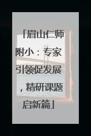 眉山仁师附小：专家引领促发展，精研课题启新篇