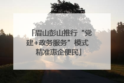 眉山彭山推行“党建+政务服务”模式 精准惠企便民