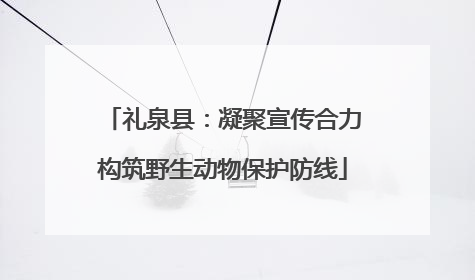 礼泉县：凝聚宣传合力构筑野生动物保护防线