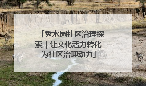 秀水园社区治理探索｜让文化活力转化为社区治理动力