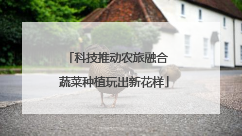 科技推动农旅融合 蔬菜种植玩出新花样