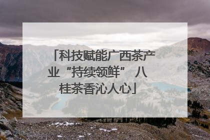科技赋能广西茶产业“持续领鲜” 八桂茶香沁人心