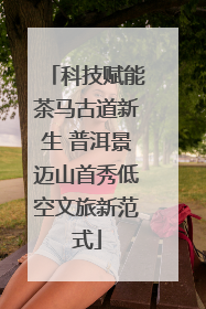 科技赋能茶马古道新生 普洱景迈山首秀低空文旅新范式