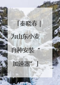 秦晓春｜为山东小麦育种安装“加速器”