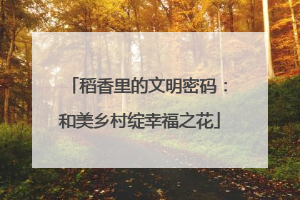 稻香里的文明密码：和美乡村绽幸福之花