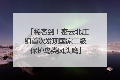 稀客到！密云北庄镇首次发现国家二级保护鸟类凤头鹰