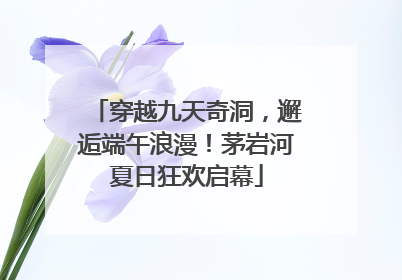 穿越九天奇洞，邂逅端午浪漫！茅岩河夏日狂欢启幕