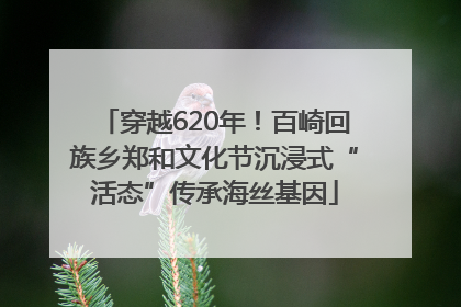穿越620年！百崎回族乡郑和文化节沉浸式“活态”传承海丝基因
