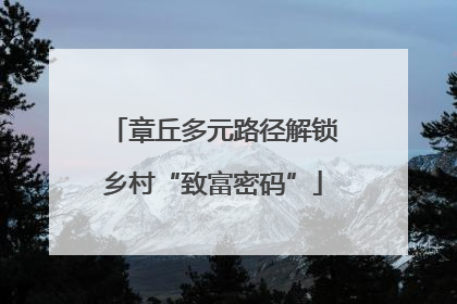 章丘多元路径解锁乡村“致富密码”