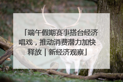 端午假期赛事搭台经济唱戏，推动消费潜力加快释放｜新经济观察