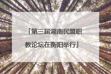 第三届湖南民盟职教论坛在衡阳举行