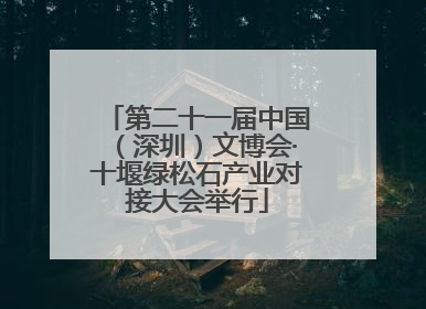 第二十一届中国（深圳）文博会·十堰绿松石产业对接大会举行
