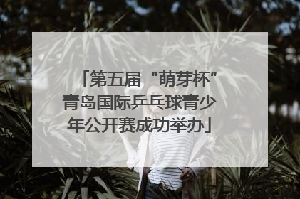 第五届“萌芽杯”青岛国际乒乓球青少年公开赛成功举办