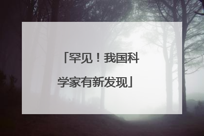 罕见！我国科学家有新发现