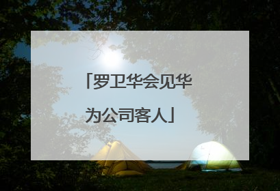 罗卫华会见华为公司客人