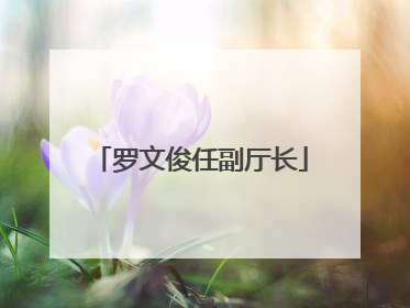 罗文俊任副厅长
