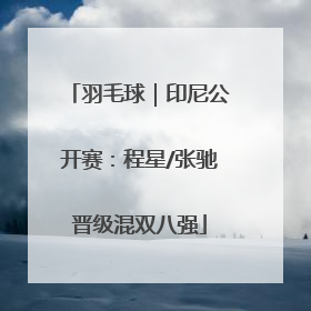 羽毛球｜印尼公开赛：程星/张驰晋级混双八强