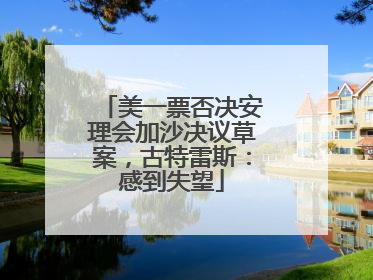 美一票否决安理会加沙决议草案，古特雷斯：感到失望
