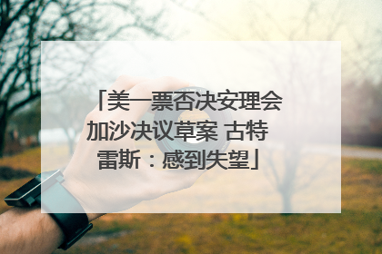 美一票否决安理会加沙决议草案 古特雷斯：感到失望