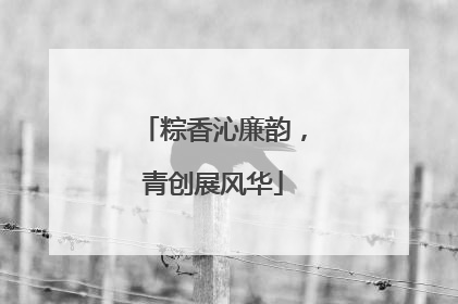 粽香沁廉韵，青创展风华