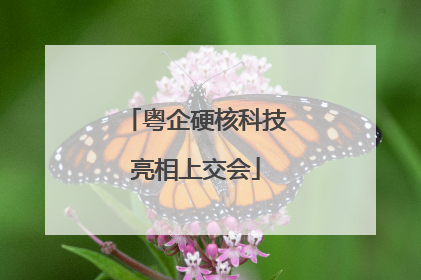 粤企硬核科技亮相上交会