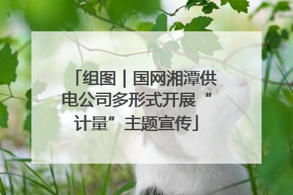 组图｜国网湘潭供电公司多形式开展“计量”主题宣传