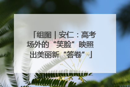 组图｜安仁：高考场外的“笑脸”映照出美丽新“答卷”