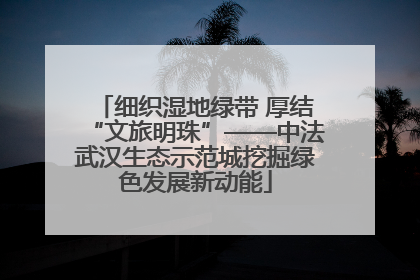细织湿地绿带 厚结“文旅明珠”——中法武汉生态示范城挖掘绿色发展新动能