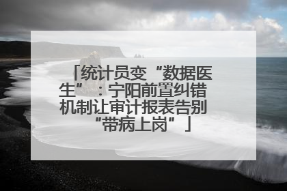 统计员变“数据医生”：宁阳前置纠错机制让审计报表告别“带病上岗”