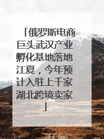 俄罗斯电商巨头武汉产业孵化基地落地江夏，今年预计入驻上千家湖北跨境卖家
