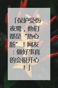 保护受伤夜鹭，他们都是“热心肠”！网友：做好事真的会很开心！