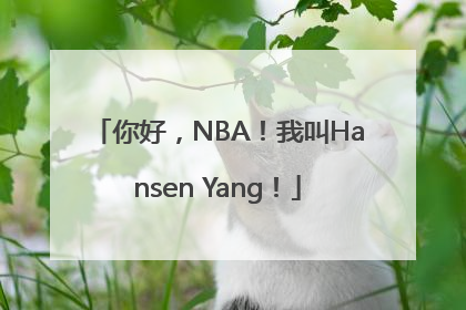 你好，NBA！我叫Hansen Yang！