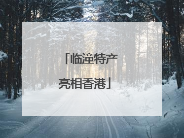 临潼特产亮相香港